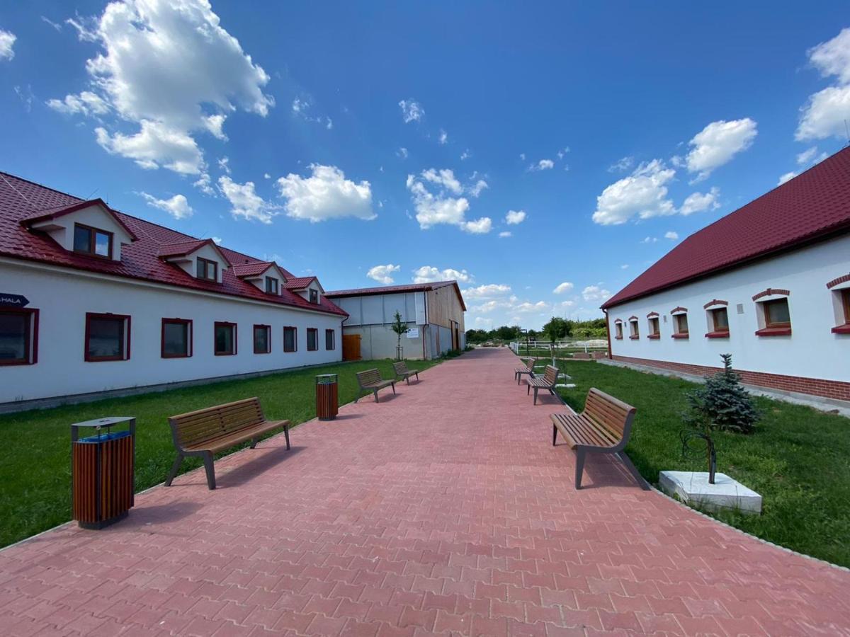 Terra Penzion Jasova Bagian luar foto